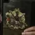 m-tac-sticker-3d-rex-team 6
